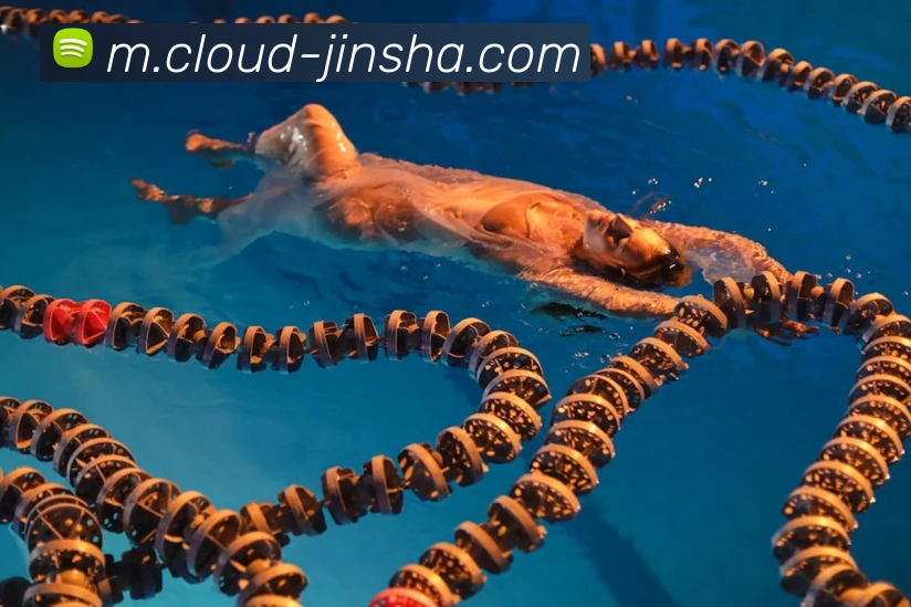 金沙国际APP 封面图